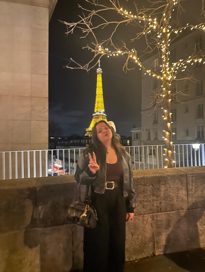 A night walking tour in Paris Waliking tour in Paris, Eiffel Tower